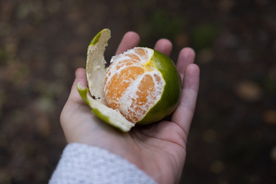 Photo healthy diet fall